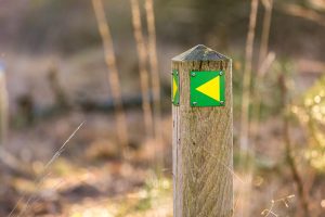 paaltje met markering wandelknooppunt. Bron VisitBrabant.nl