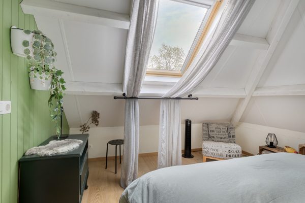 B&B Arbores